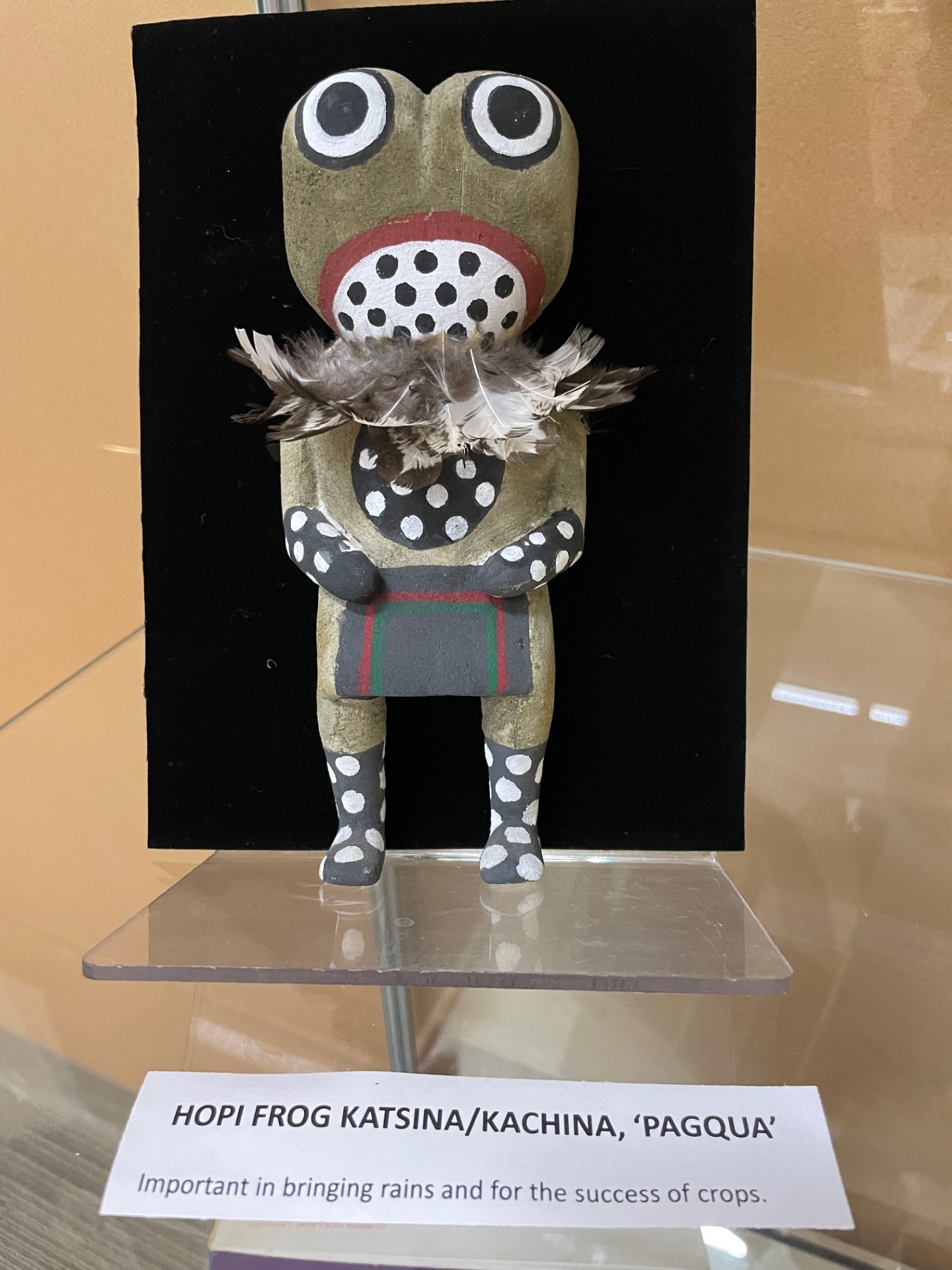 Hopi frog on display